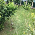 Kirayə (günlük) 2 otaqlı Həyət evi/villa Qəbələ 24