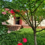 Kirayə (günlük) 3 otaqlı Həyət evi/villa İsmayıllı 4