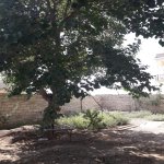 Satılır 5 otaqlı Həyət evi/villa, Mərdəkan, Xəzər rayonu 12