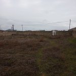 Satılır Torpaq, Zirə, Xəzər rayonu 3