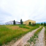 Satılır Torpaq Şamaxı 22