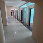 Kirayə (aylıq) 15 otaqlı Ofis, Gənclik metrosu, Nəsimi rayonu 2