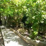 Satılır 8 otaqlı Həyət evi/villa, Badamdar qəs., Səbail rayonu 16