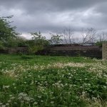 Satılır Torpaq Qəbələ 2