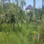 Посуточно 3 комнат Дача Гусар 15