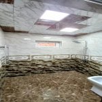 Kirayə (günlük) 4 otaqlı Həyət evi/villa Qəbələ 20