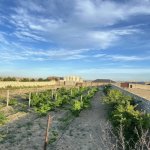 Satılır Torpaq, Abşeron rayonu 2