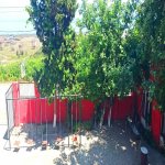 Kirayə (günlük) Mini otel / Xostel Xaçmaz / Nabran 12
