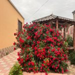 Satılır 3 otaqlı Həyət evi/villa Xırdalan 21