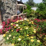 Satılır 5 otaqlı Həyət evi/villa, Buzovna, Xəzər rayonu 6