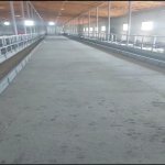 Satılır Torpaq Xaçmaz / Xudat 10