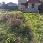 Satılır 1 otaqlı Həyət evi/villa Lənkəran 1