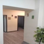 Kirayə (günlük) 2 otaqlı Köhnə Tikili, Elmlər akademiyası metrosu, Yasamal qəs., Yasamal rayonu 1