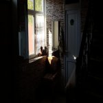 Satılır 2 otaqlı Həyət evi/villa, Masazır, Abşeron rayonu 16