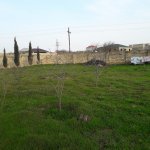 Satılır Torpaq, Saray, Abşeron rayonu 2