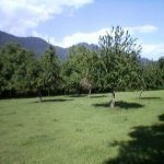 Satılır Torpaq Qəbələ 5