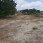 Satılır Torpaq, Novxanı, Abşeron rayonu 3