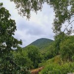 Kirayə (günlük) 3 otaqlı Həyət evi/villa Qəbələ 20