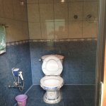 Satılır 4 otaqlı Həyət evi/villa Gəncə 24