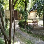 Kirayə (günlük) 3 otaqlı Həyət evi/villa İsmayıllı 11