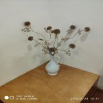 Kirayə (aylıq) 3 otaqlı Bağ evi, Mərdəkan, Xəzər rayonu 17