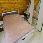 Kirayə (günlük) 5 otaqlı Həyət evi/villa İsmayıllı 40