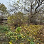 Satılır Torpaq Qəbələ 7