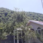 Kirayə (günlük) 6 otaqlı Həyət evi/villa Qax 7