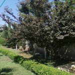Kirayə (aylıq) 6 otaqlı Bağ evi, Bilgəh qəs., Sabunçu rayonu 6