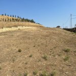 Satılır Torpaq, Saray, Abşeron rayonu 2