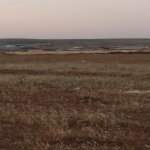 Satılır Torpaq, Abşeron rayonu 6