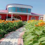 Kirayə (günlük) 6 otaqlı Bağ evi Qəbələ 4
