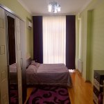 Kirayə (aylıq) 3 otaqlı Yeni Tikili, Nəriman Nərimanov metrosu, Nərimanov rayonu 8