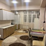 Satılır 2 otaqlı Yeni Tikili, Qara Qarayev metrosu, Nizami rayonu 7