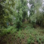 Satılır Torpaq Quba 5