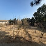 Satılır Torpaq, Şüvəlan, Xəzər rayonu 9