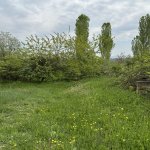 Satılır Torpaq Gəncə 6