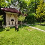 Kirayə (günlük) 4 otaqlı Bağ evi Qəbələ 9