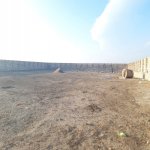 Satılır Obyekt, Pereküşkül, Abşeron rayonu 16