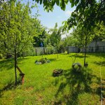 Kirayə (günlük) 5 otaqlı Həyət evi/villa Qəbələ 8