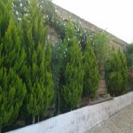 Kirayə (aylıq) 6 otaqlı Bağ evi, Nardaran qəs., Sabunçu rayonu 10