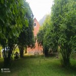 Kirayə (günlük) 3 otaqlı Yeni Tikili Zaqatala 11