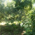 Satılır 4 otaqlı Bağ evi Qusar 21
