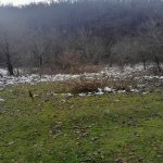 Satılır Torpaq Quba 3