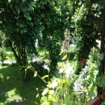 Kirayə (günlük) 3 otaqlı Həyət evi/villa Qəbələ 5