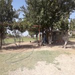 Satılır Torpaq Sumqayıt 9