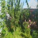 Посуточно 3 комнатная Дома/Виллы Исмаиллы 10