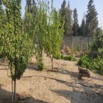 Satılır Torpaq, Novxanı, Abşeron rayonu 3