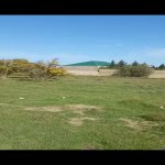 Satılır Torpaq, Buzovna, Xəzər rayonu 6