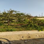 Satılır Torpaq, Fatmayi, Abşeron rayonu 12